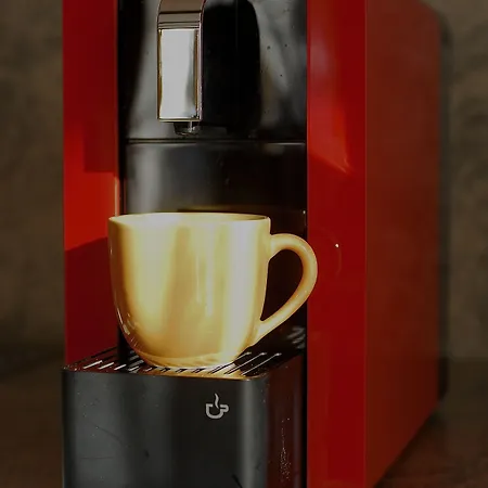 Alpenruh サース フェー